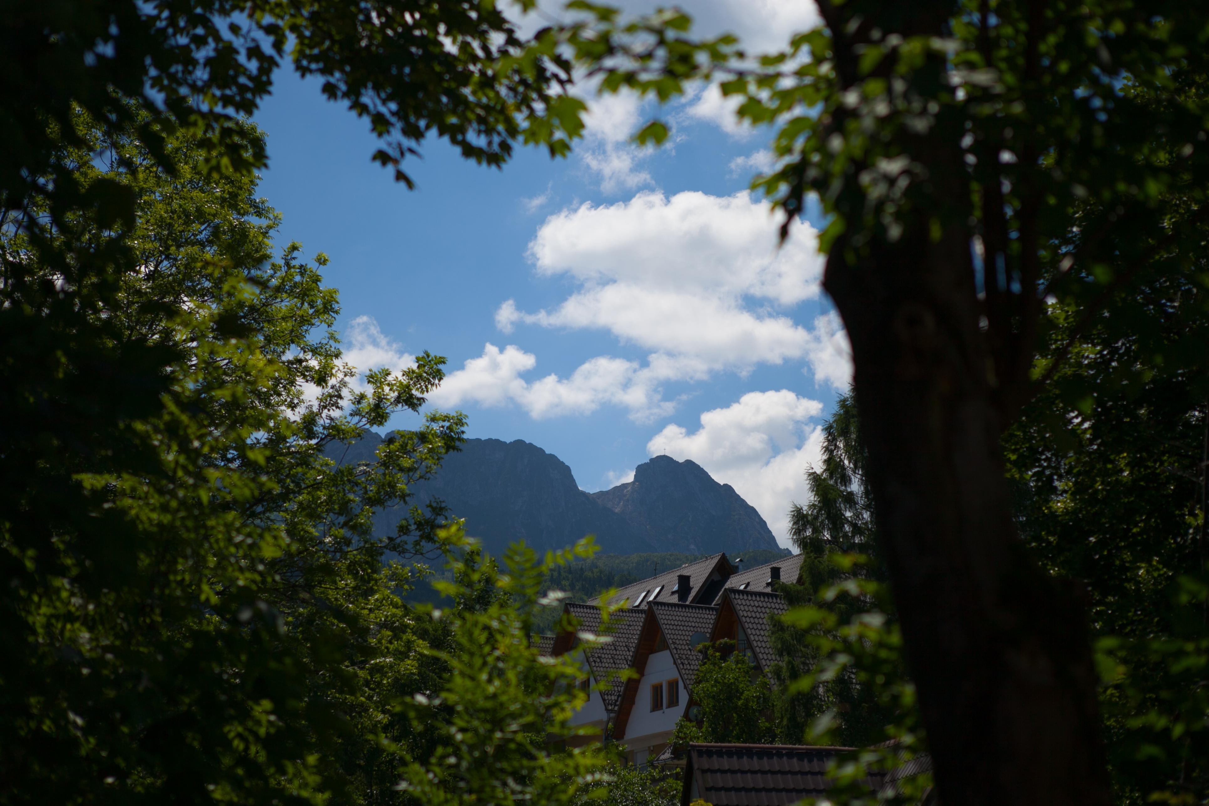Szarotka Hotel Zakopane Eksteriør billede