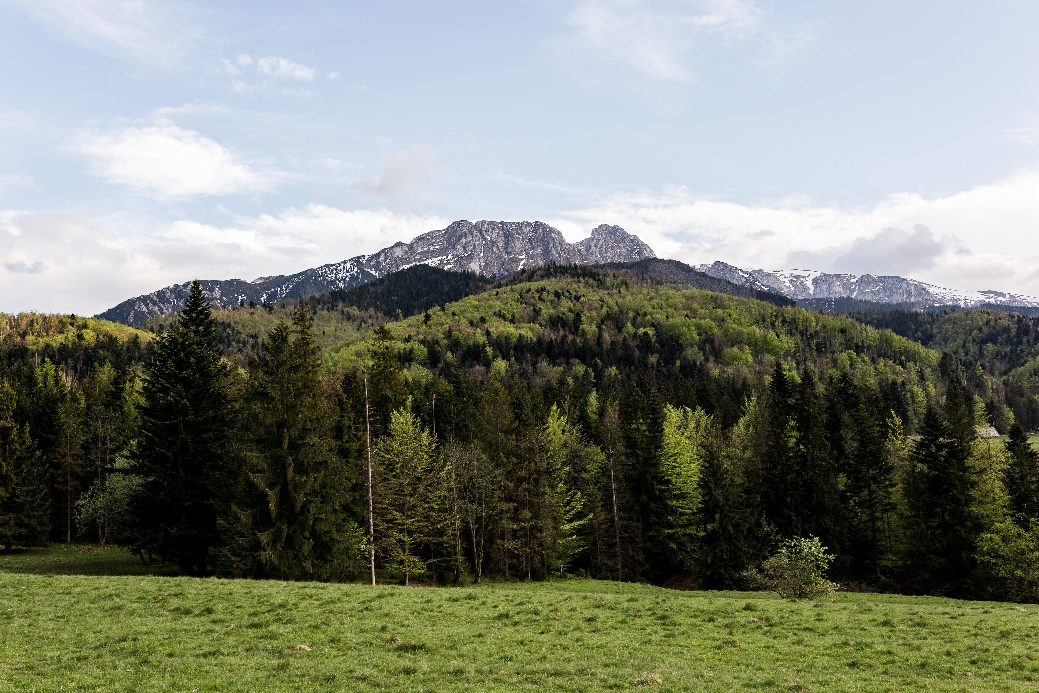 Szarotka Hotel Zakopane Eksteriør billede